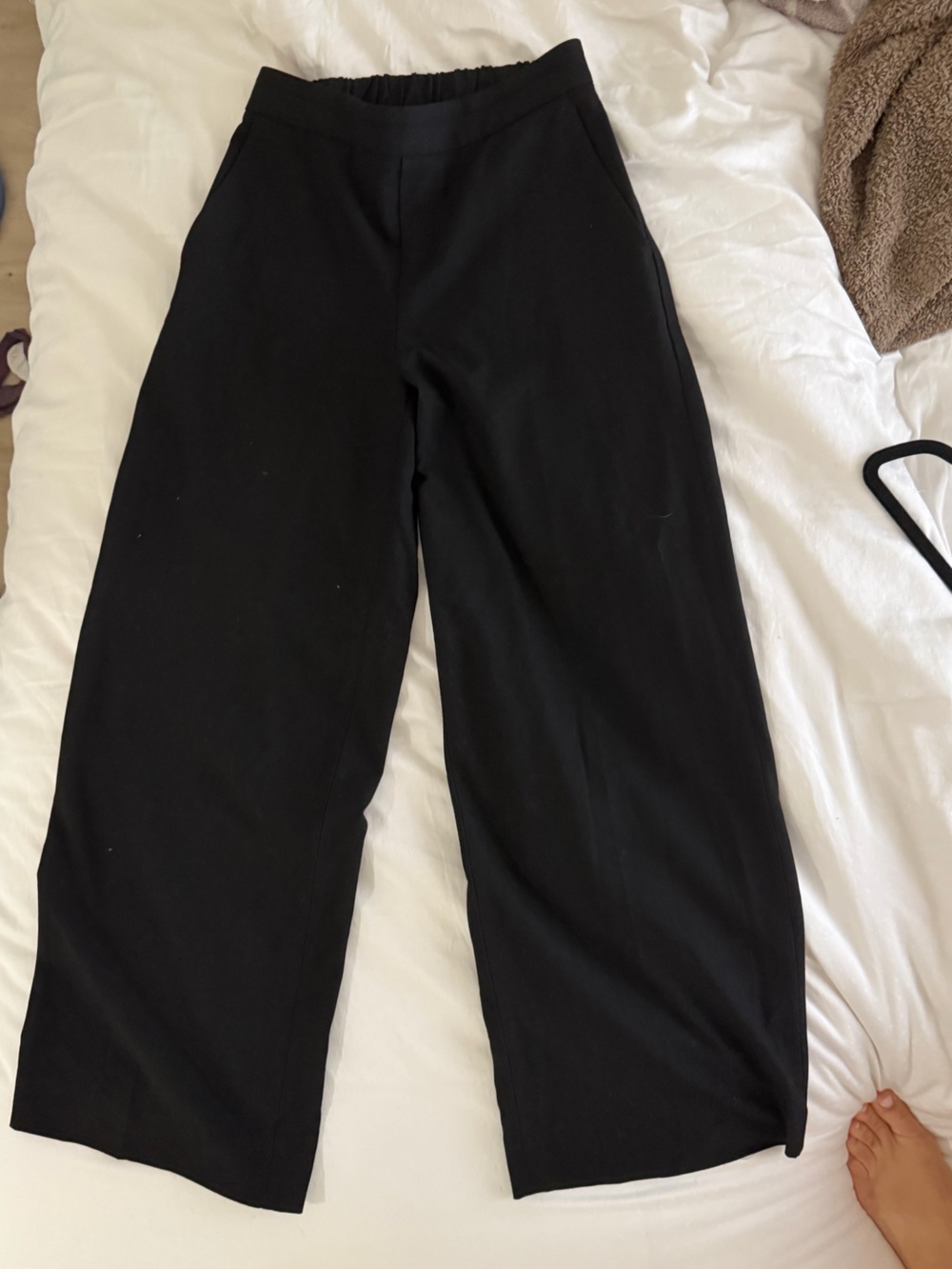 Banana Republic Hayden Wide-Leg Pants
